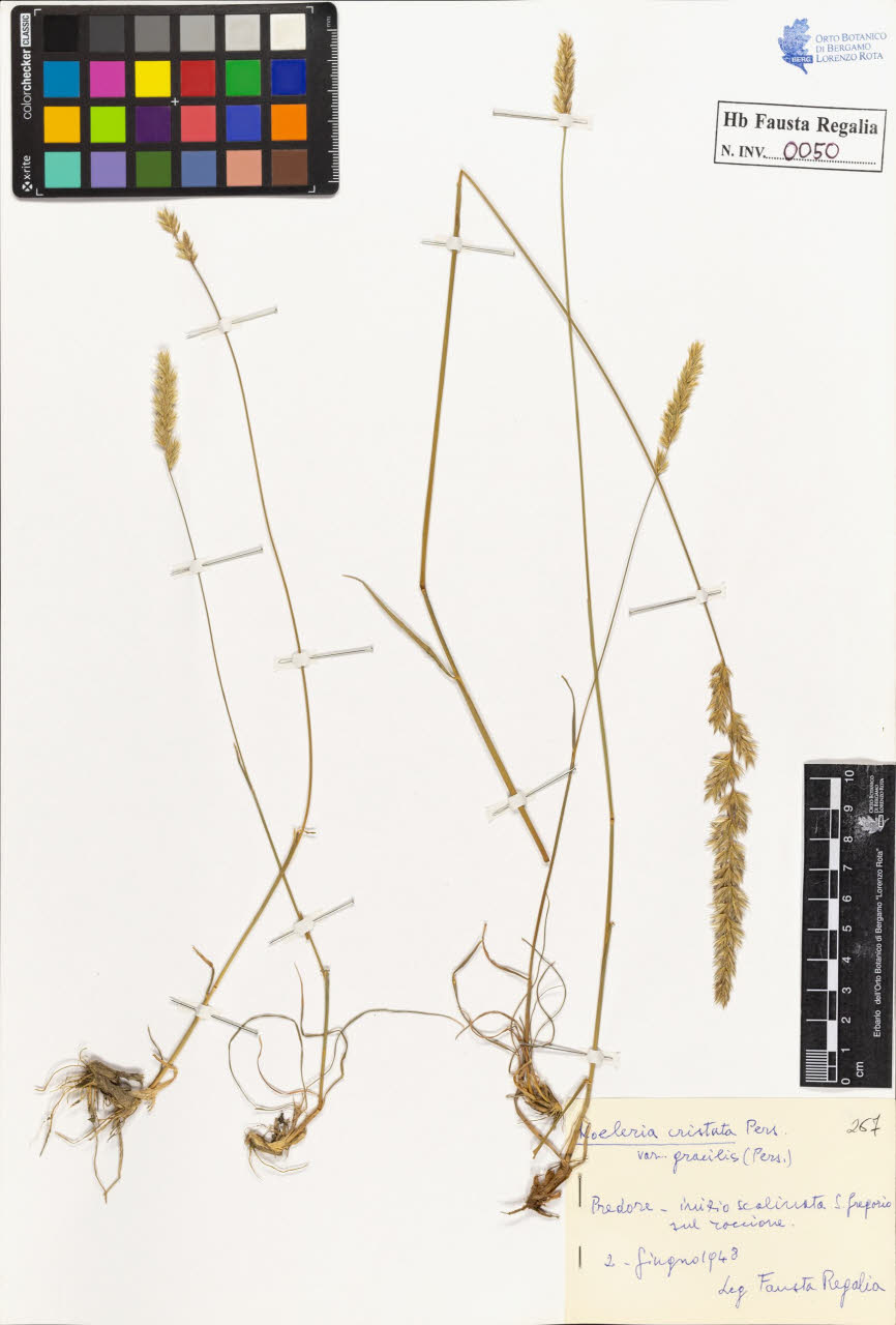 SW_BNB_s3020-00051_IMG-0000000001