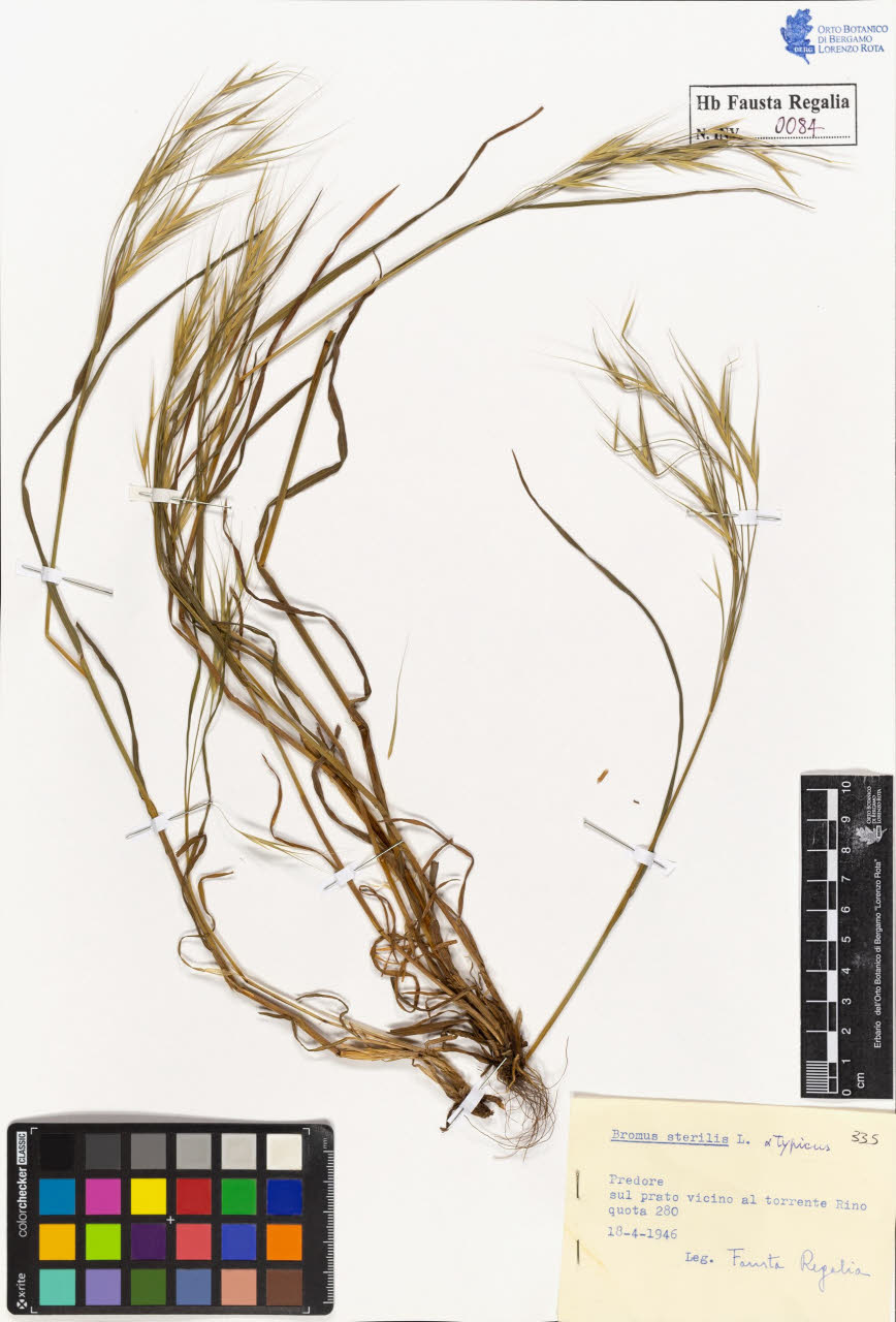 SW_BNB_s3020-00087_IMG-0000000001