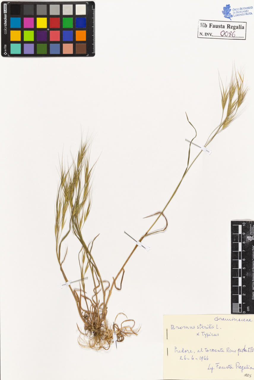 SW_BNB_s3020-00089_IMG-0000000001