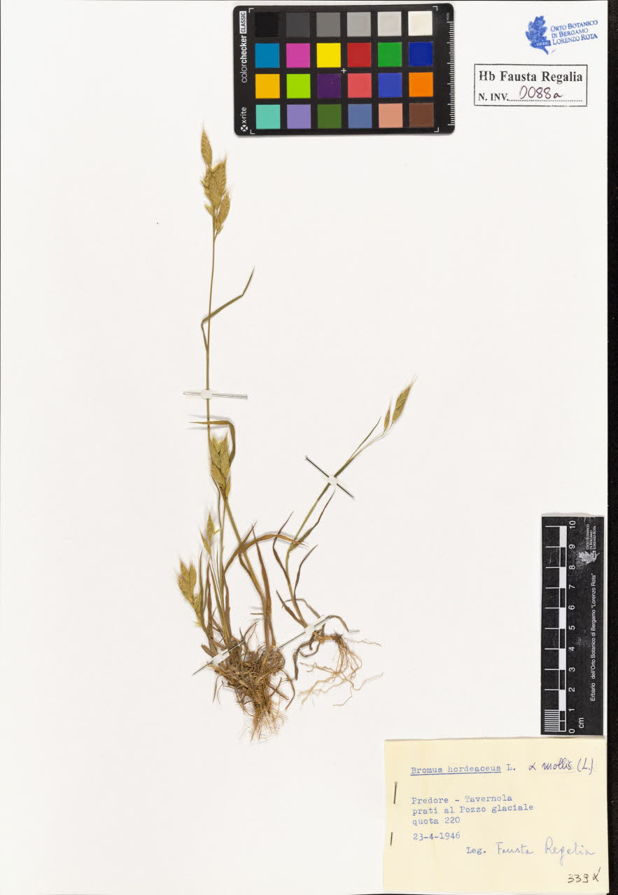 SW_BNB_s3020-00091_IMG-0000000001