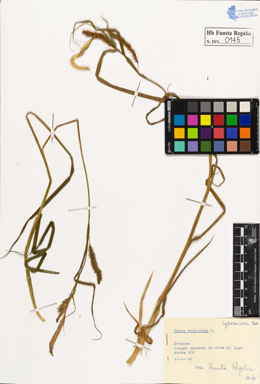 SW_BNB_s3020-00148_IMG-0000000001