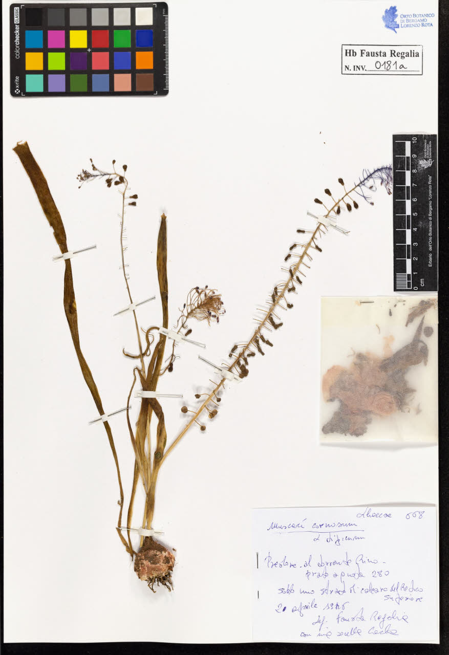 SW_BNB_s3020-00184_IMG-0000000001