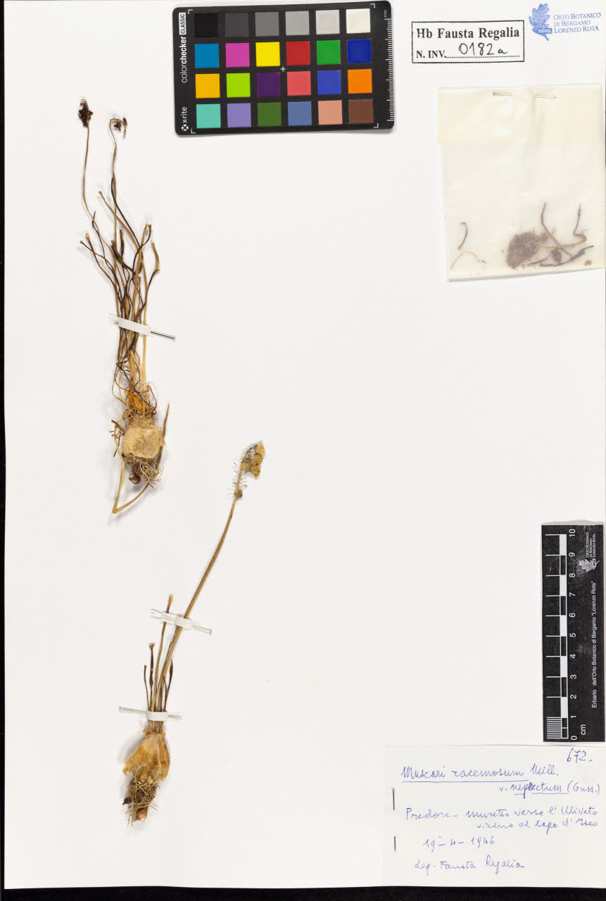 SW_BNB_s3020-00185_IMG-0000000001