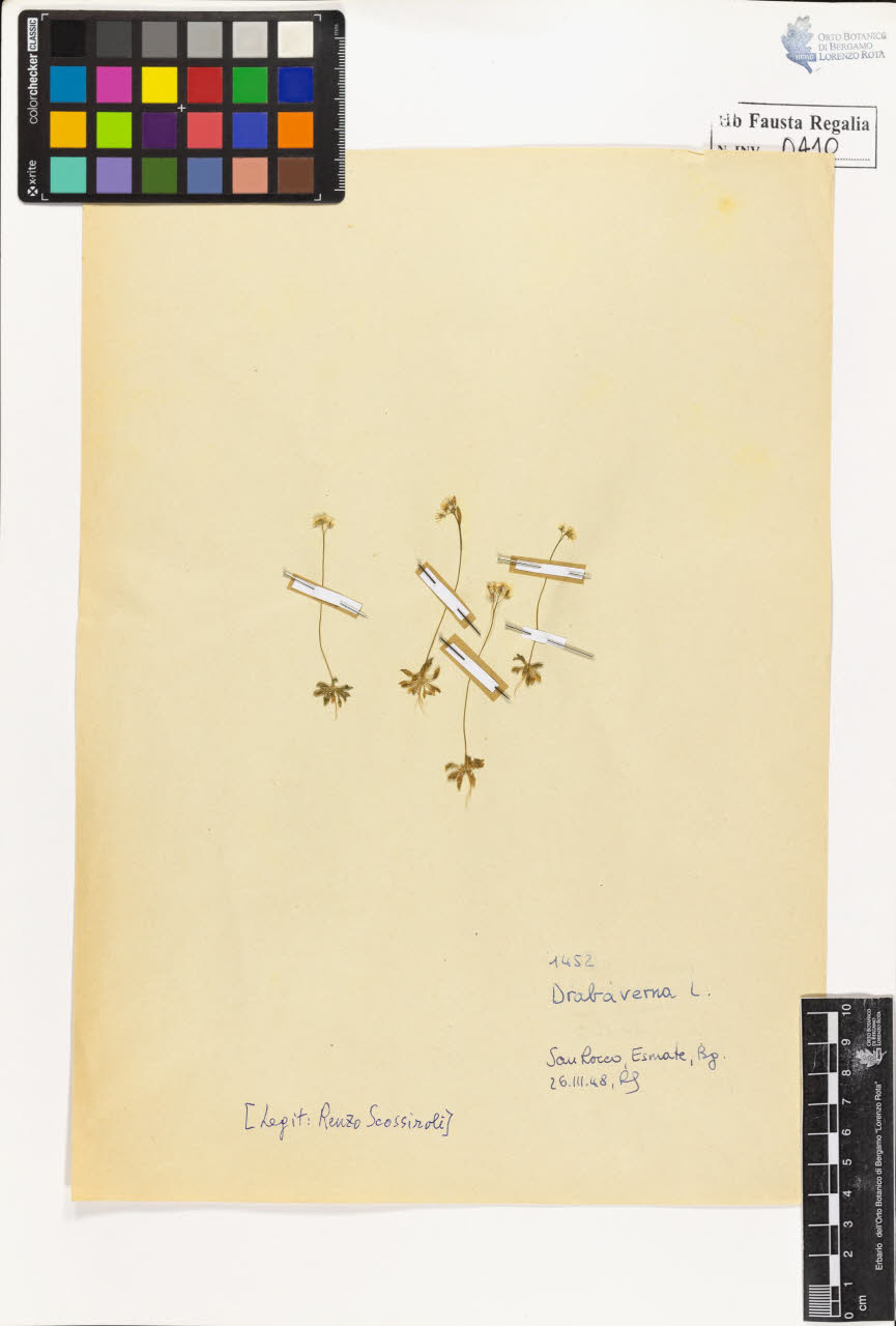 SW_BNB_s3020-00413_IMG-0000000001