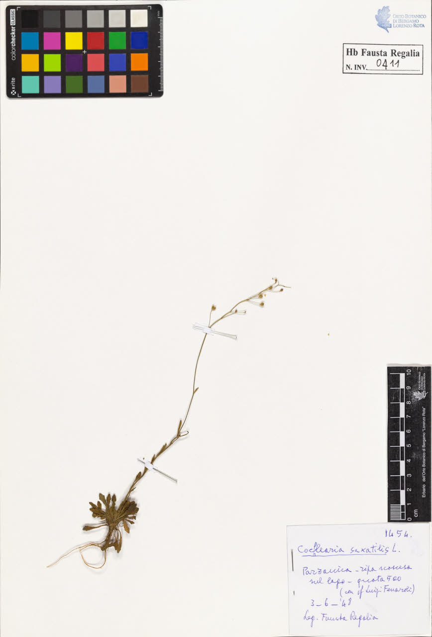 SW_BNB_s3020-00414_IMG-0000000001