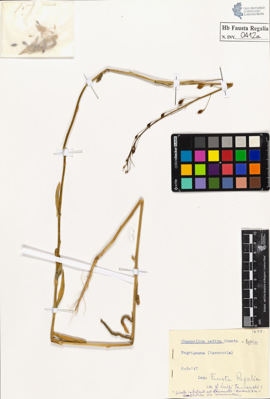 SW_BNB_s3020-00415_IMG-0000000001