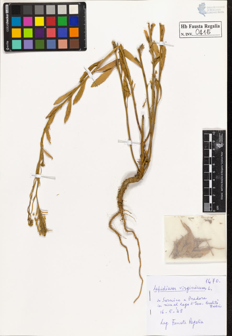 SW_BNB_s3020-00418_IMG-0000000001