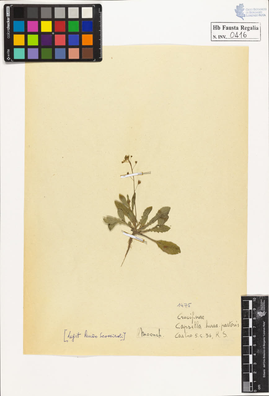 SW_BNB_s3020-00419_IMG-0000000001