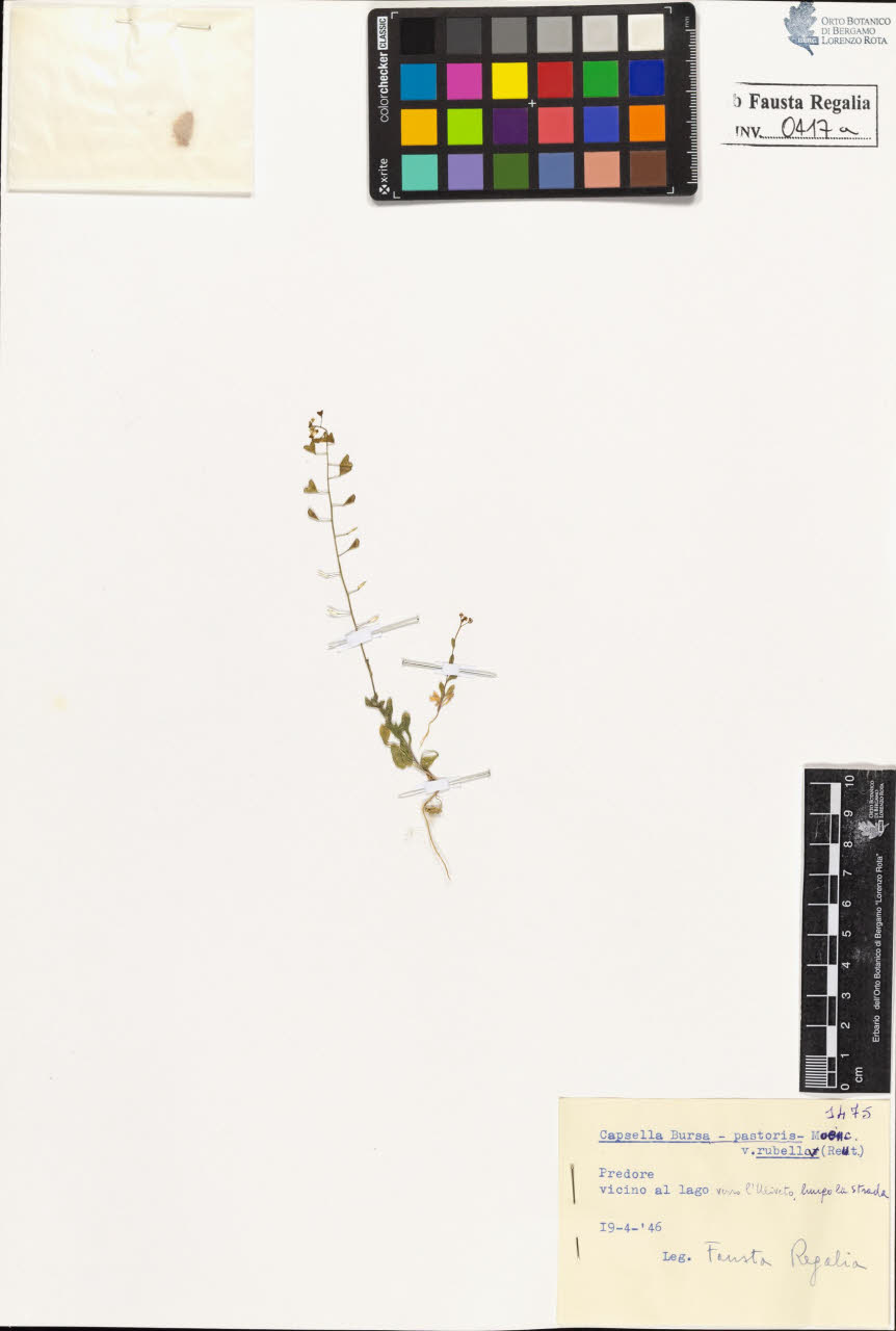 SW_BNB_s3020-00420_IMG-0000000001