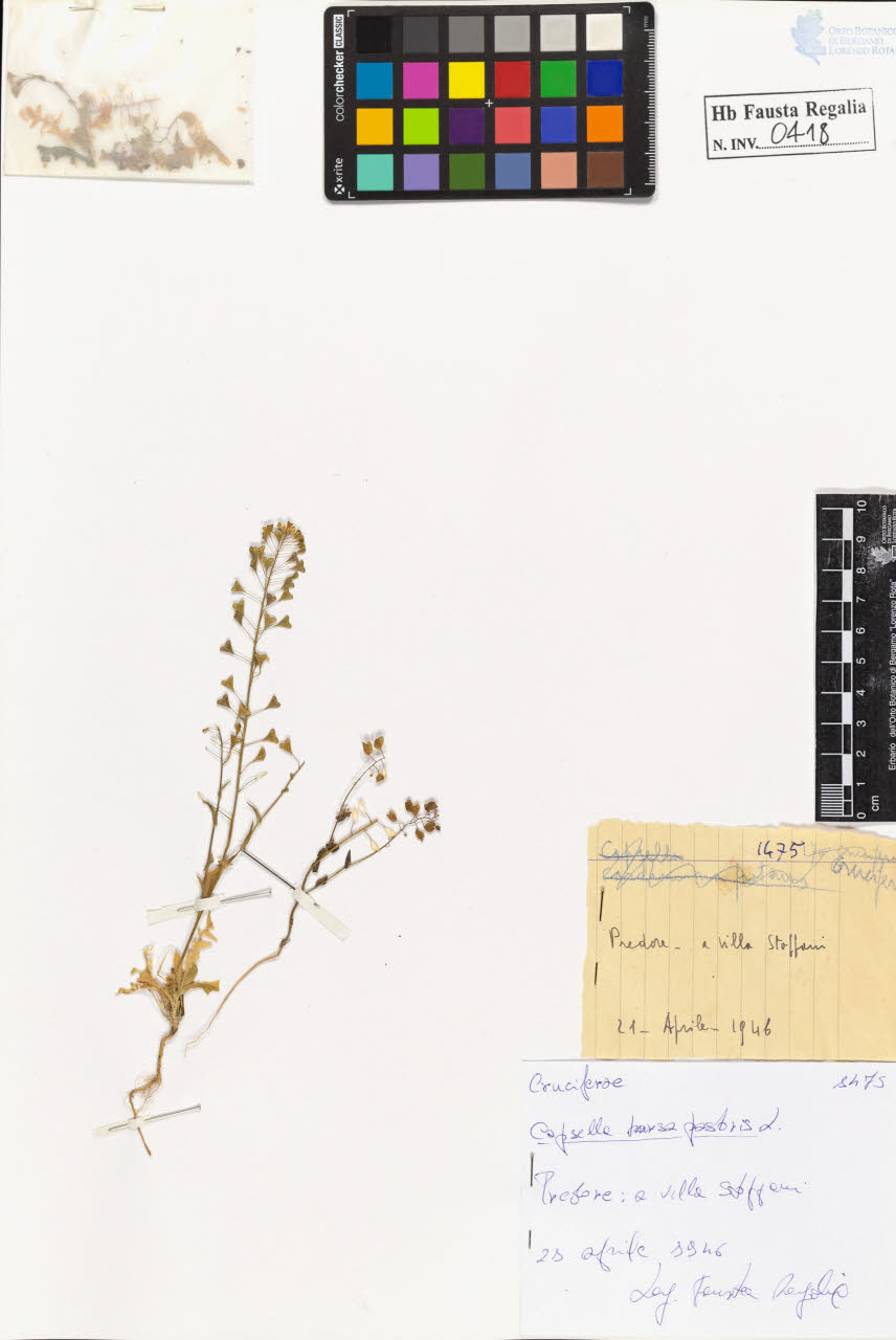 SW_BNB_s3020-00421_IMG-0000000001