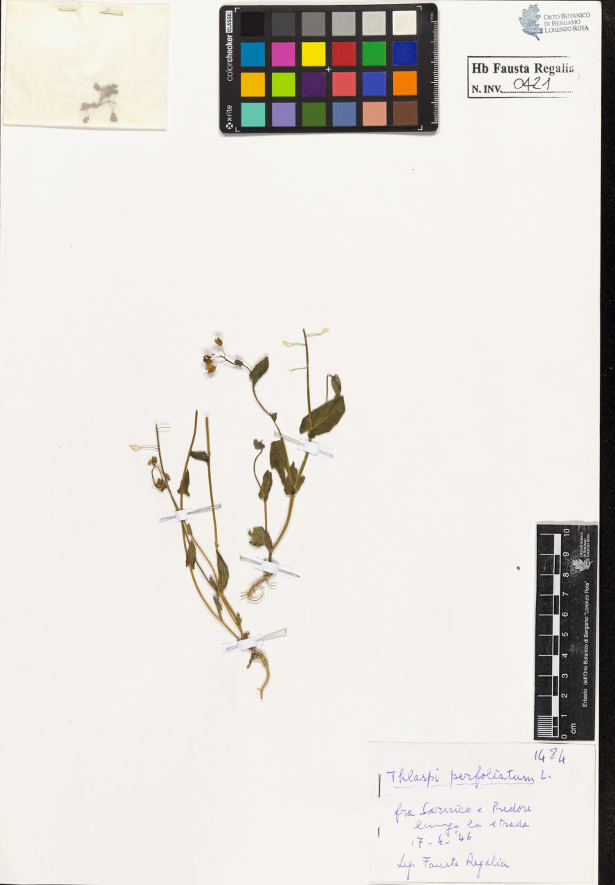 SW_BNB_s3020-00424_IMG-0000000001