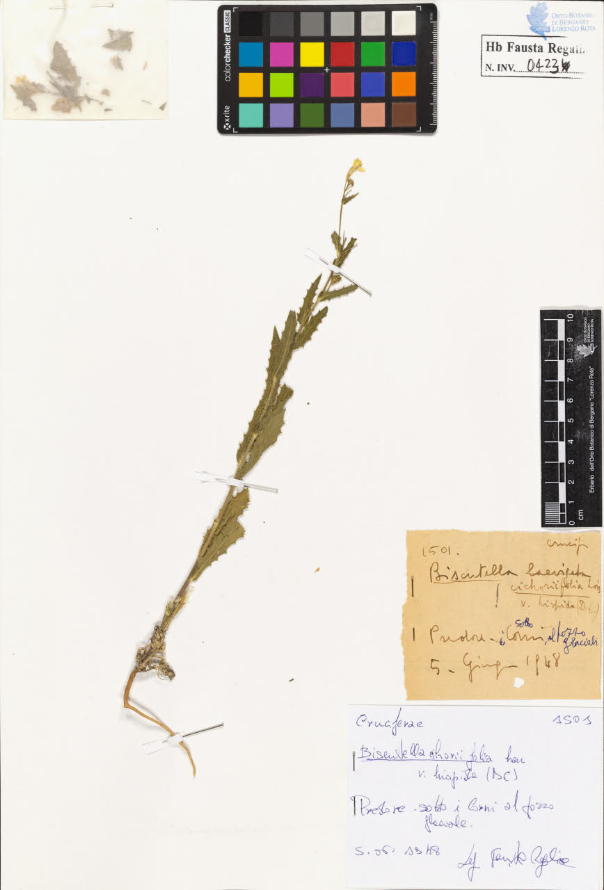 SW_BNB_s3020-00426_IMG-0000000001