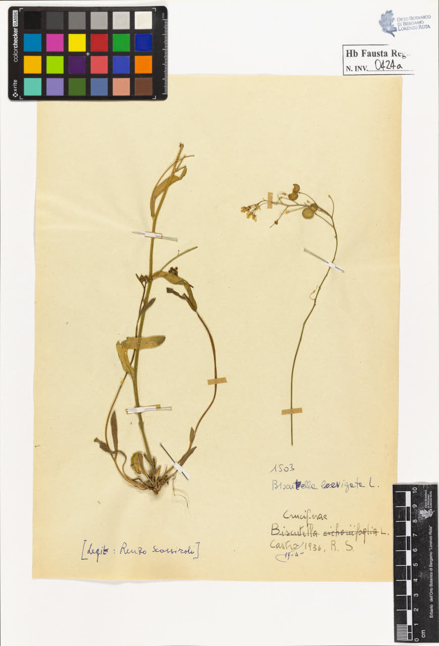 SW_BNB_s3020-00427_IMG-0000000001