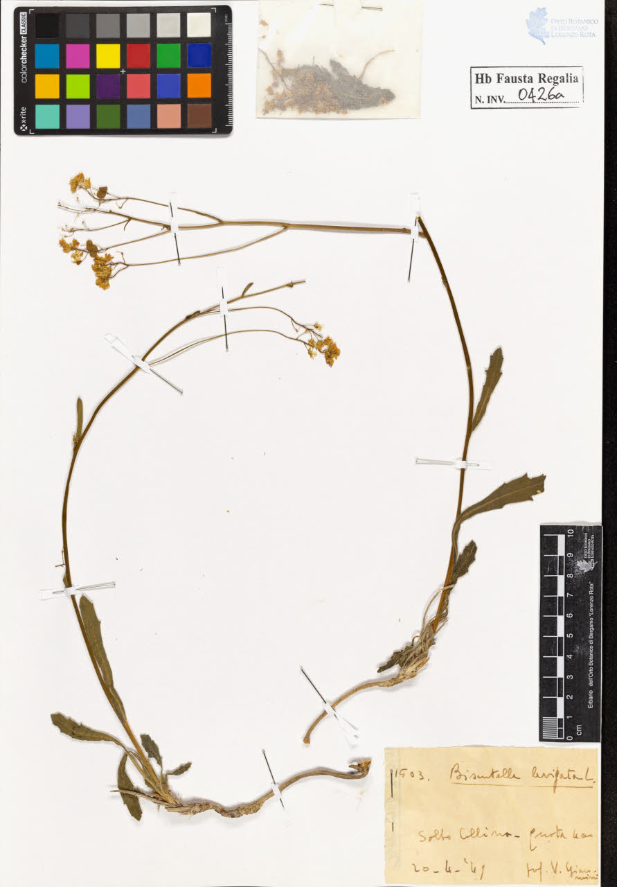 SW_BNB_s3020-00429_IMG-0000000001