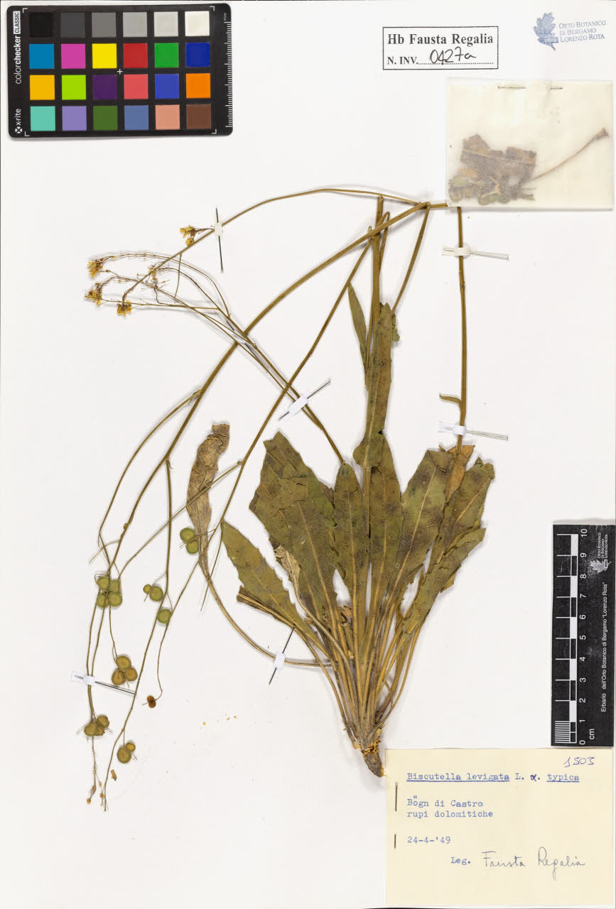 SW_BNB_s3020-00430_IMG-0000000001