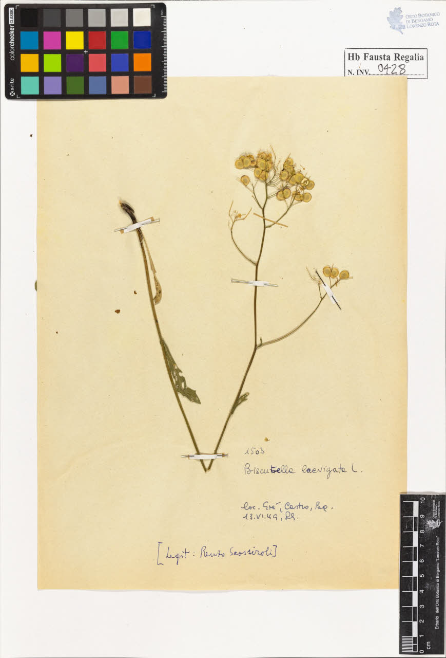 SW_BNB_s3020-00431_IMG-0000000001