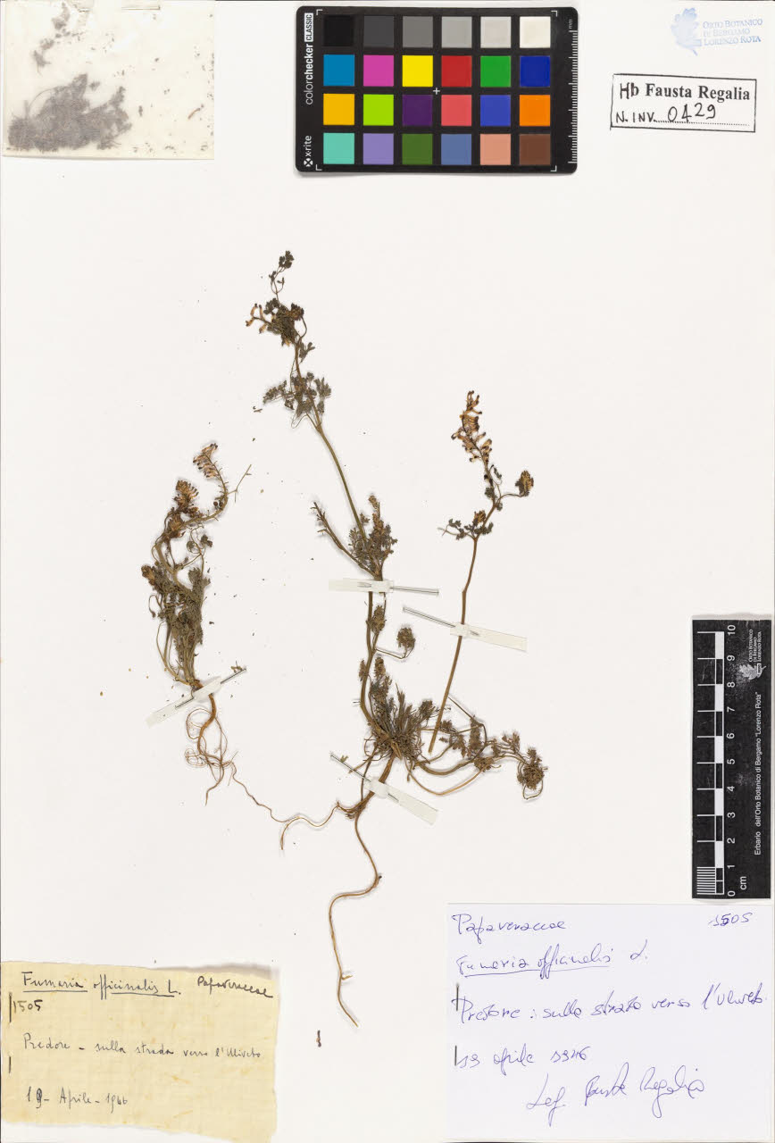 SW_BNB_s3020-00432_IMG-0000000001