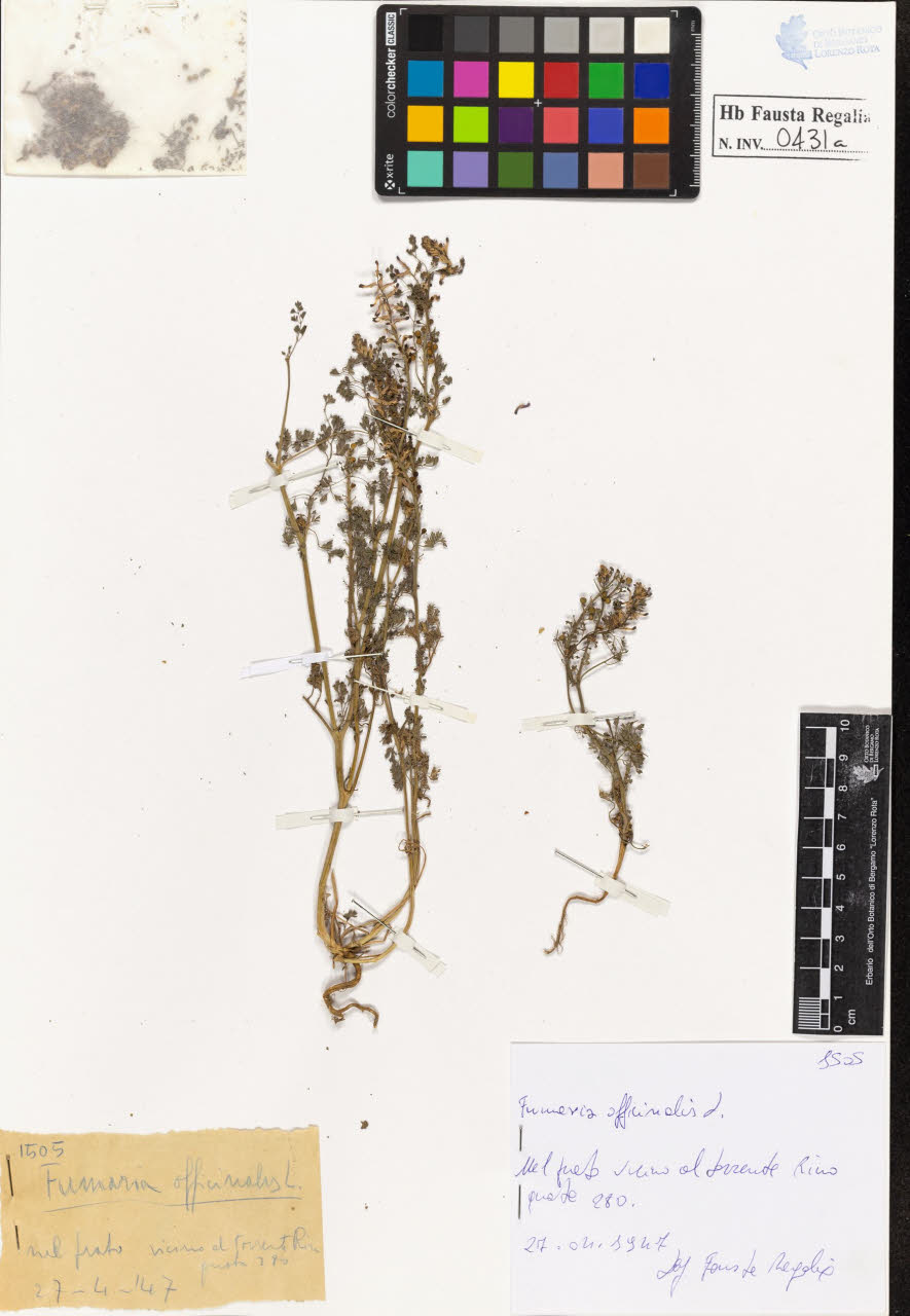 SW_BNB_s3020-00434_IMG-0000000001