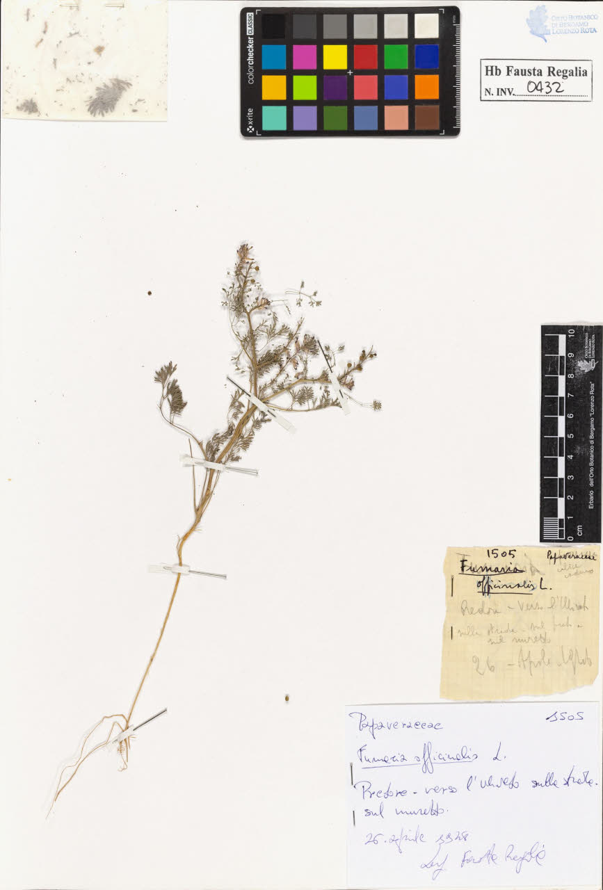 SW_BNB_s3020-00435_IMG-0000000001