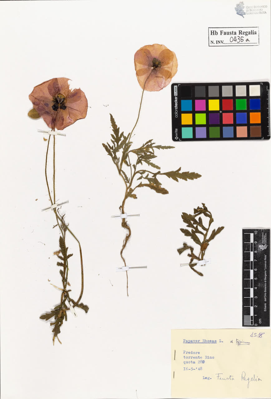 SW_BNB_s3020-00438_IMG-0000000001