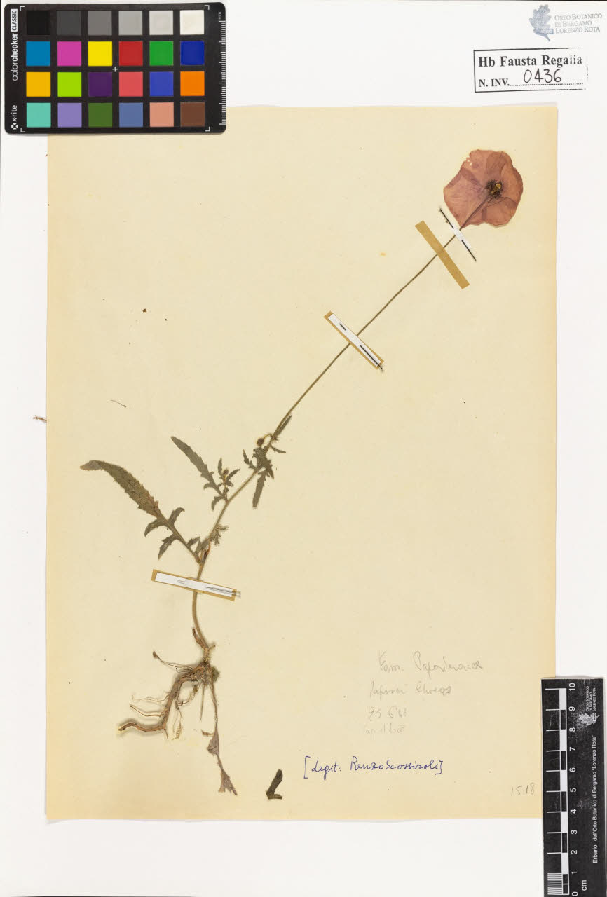 SW_BNB_s3020-00439_IMG-0000000001