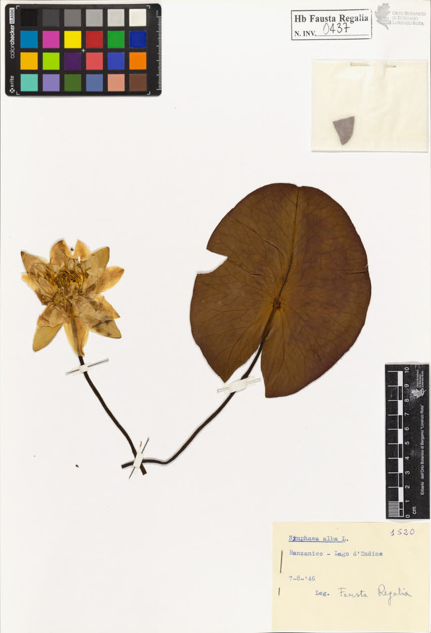 SW_BNB_s3020-00440_IMG-0000000001