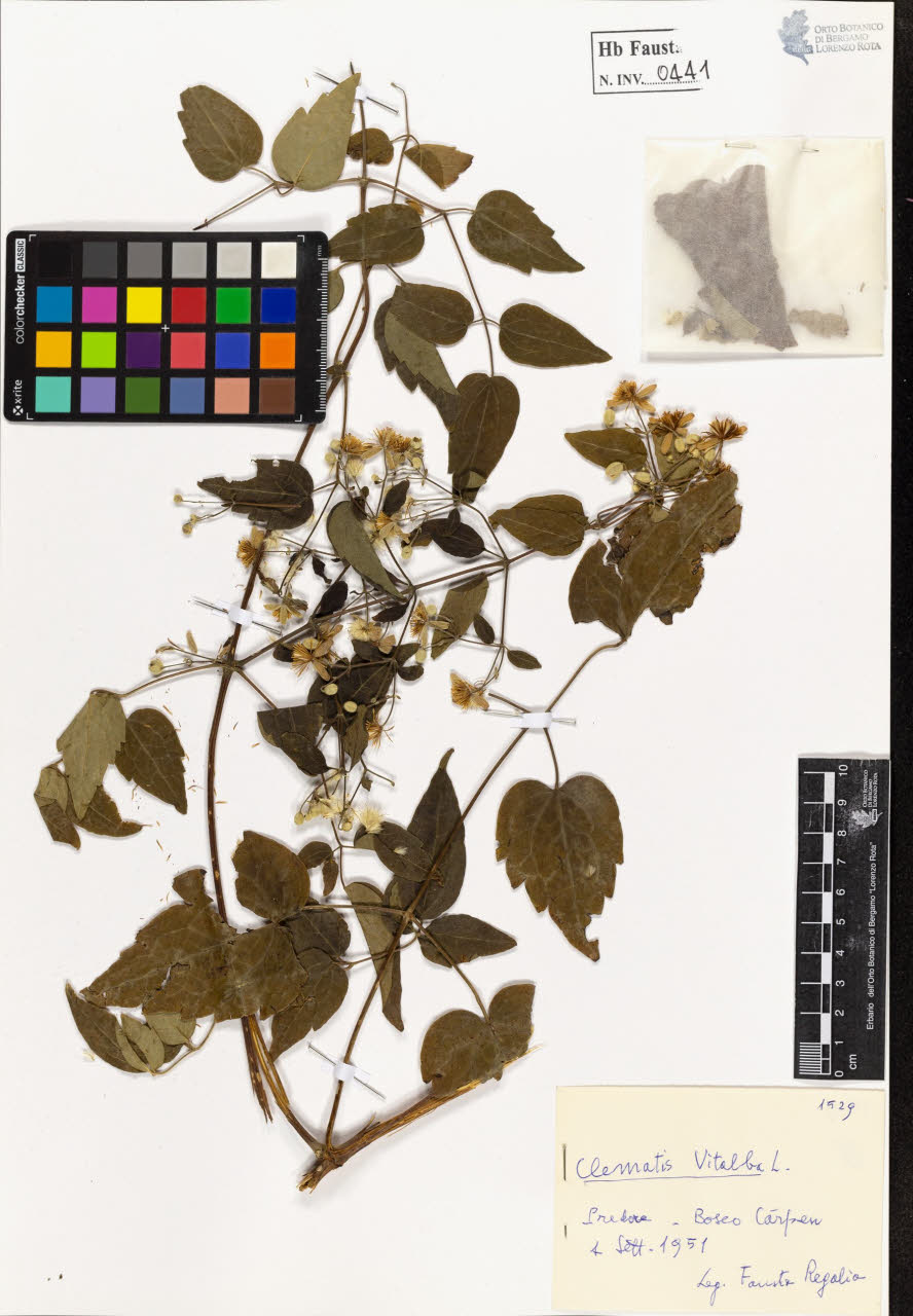 SW_BNB_s3020-00444_IMG-0000000001