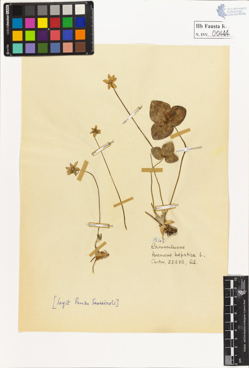 SW_BNB_s3020-00447_IMG-0000000001