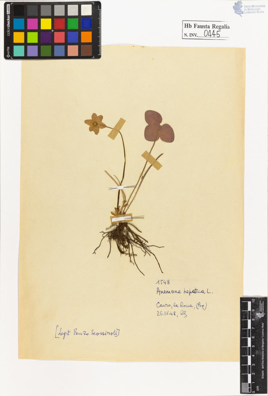 SW_BNB_s3020-00448_IMG-0000000001