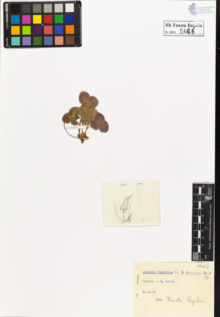 SW_BNB_s3020-00449_IMG-0000000001