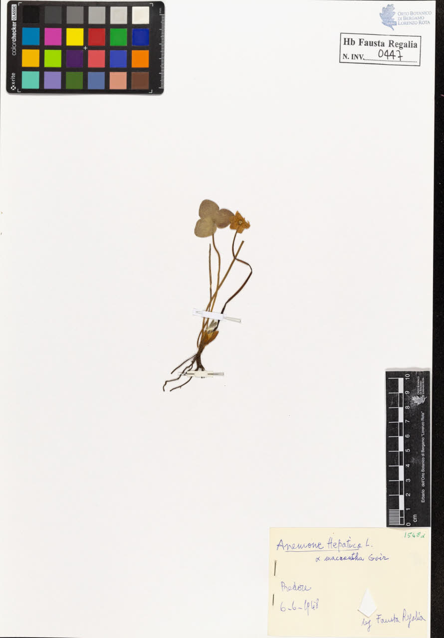 SW_BNB_s3020-00450_IMG-0000000001