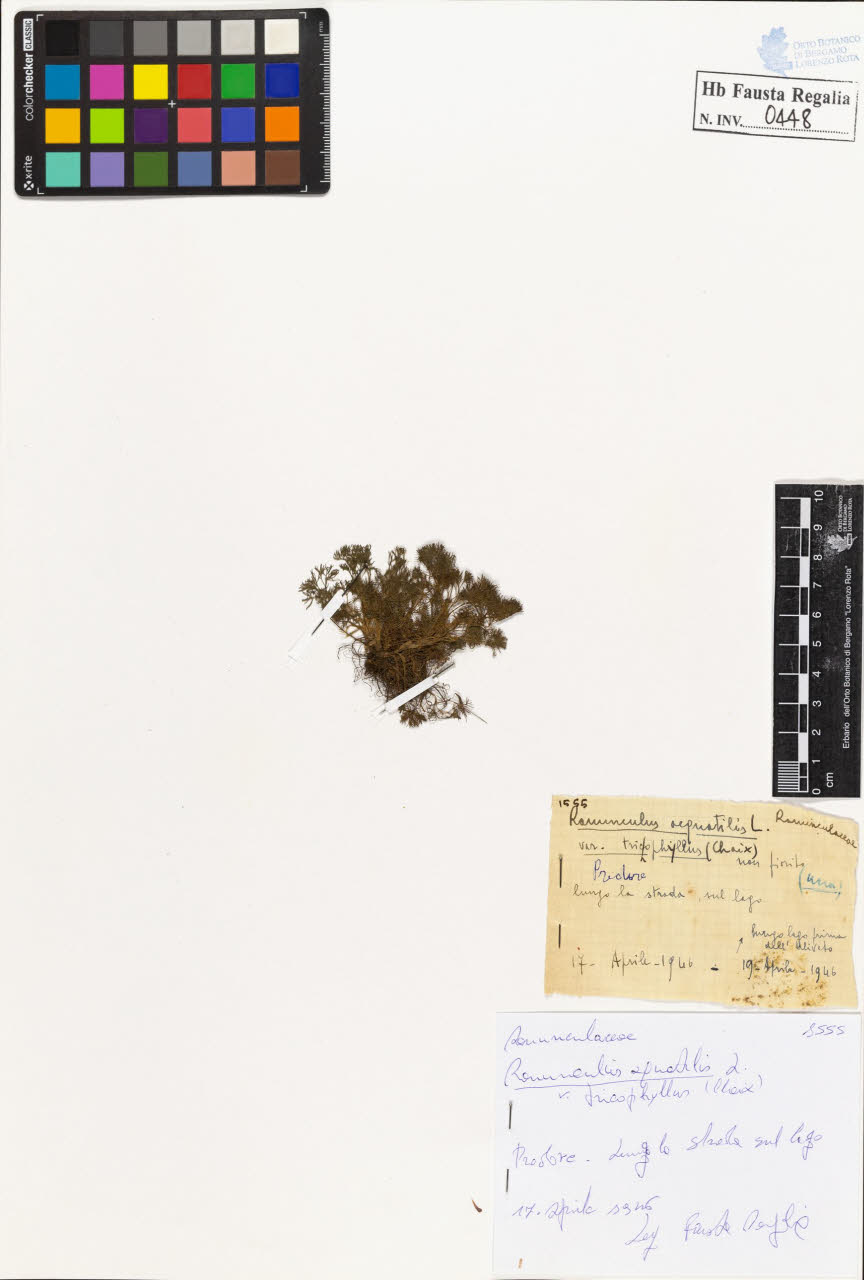 SW_BNB_s3020-00451_IMG-0000000001