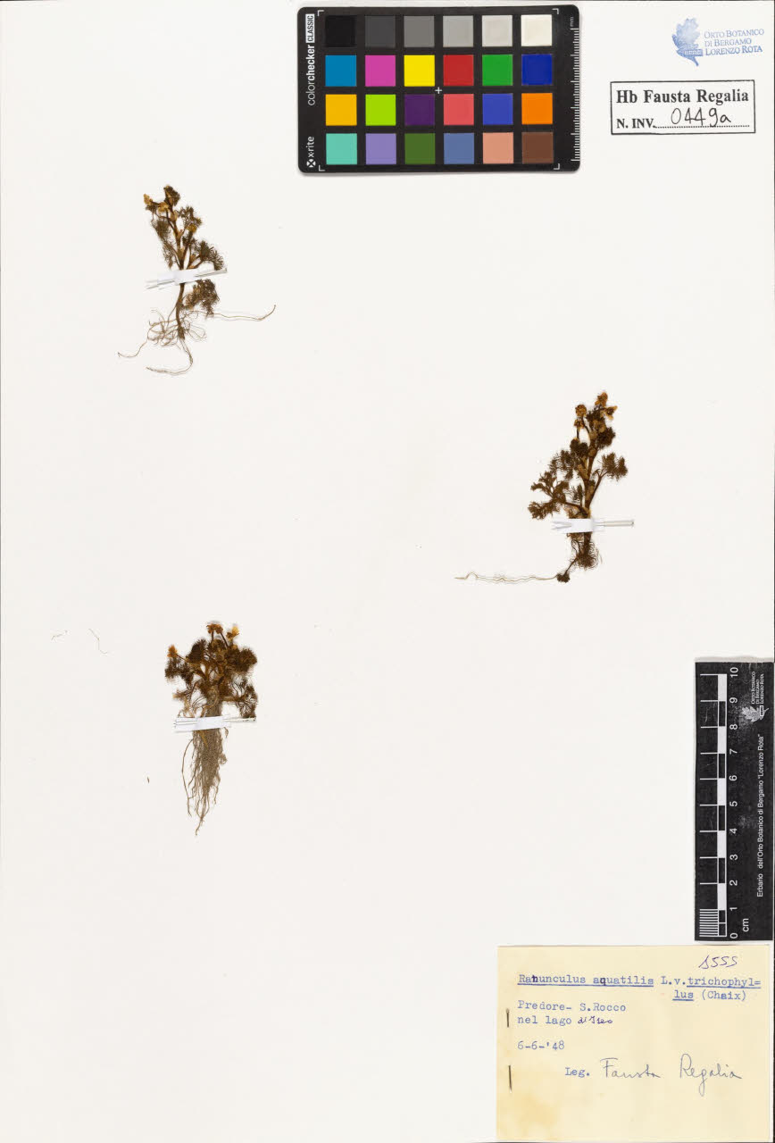 SW_BNB_s3020-00452_IMG-0000000001