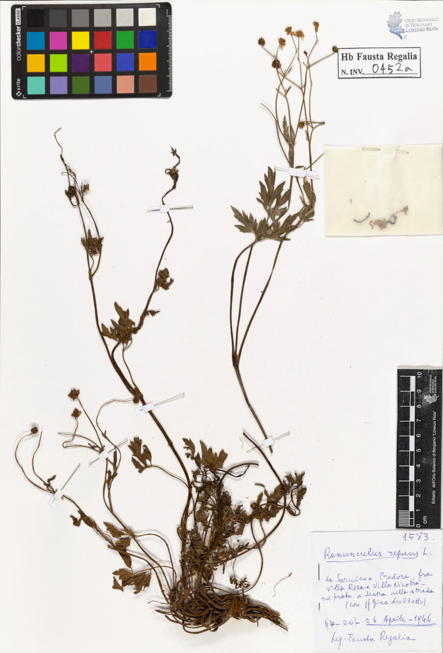 SW_BNB_s3020-00455_IMG-0000000001