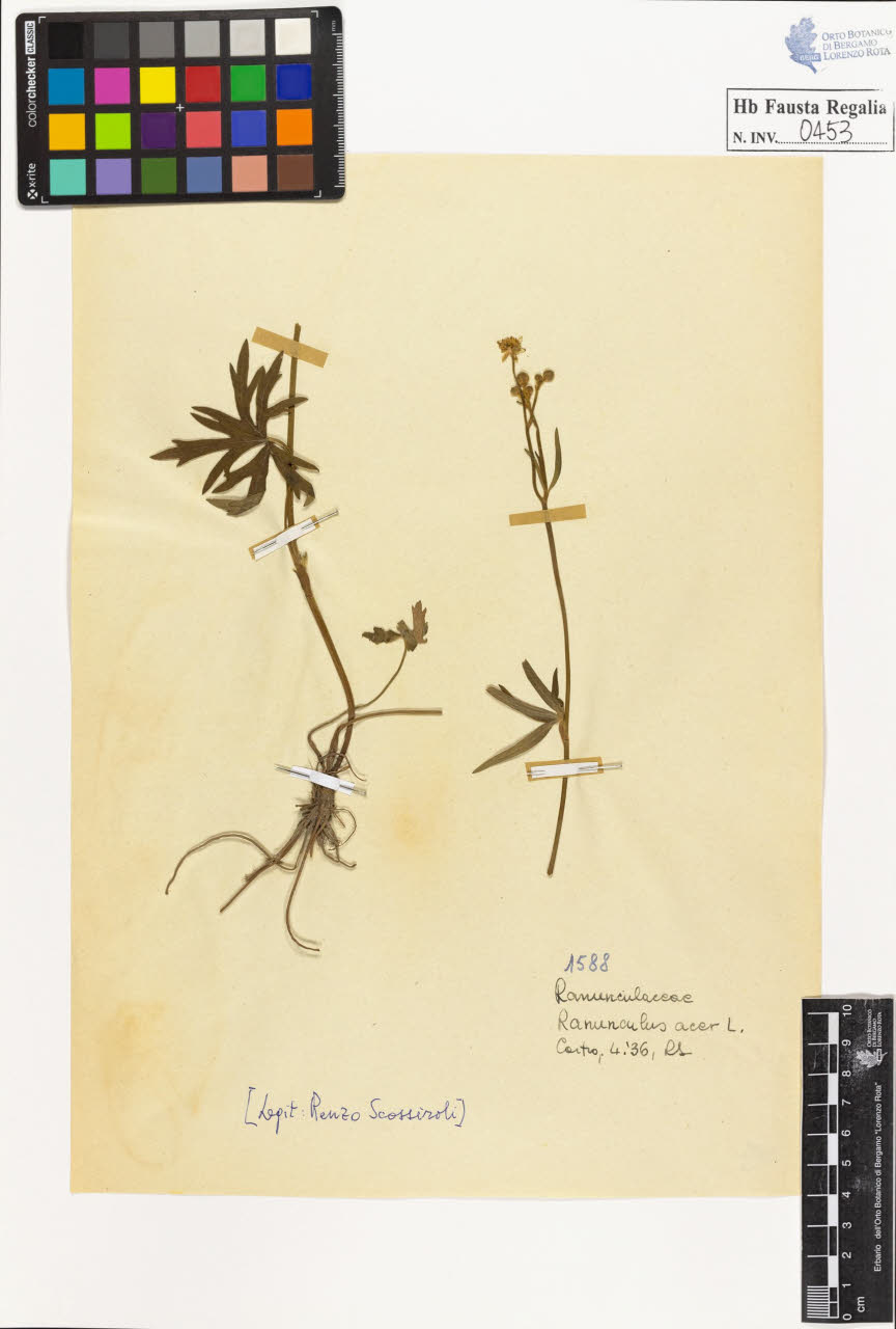 SW_BNB_s3020-00456_IMG-0000000001