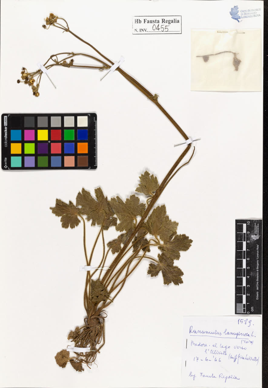 SW_BNB_s3020-00458_IMG-0000000001