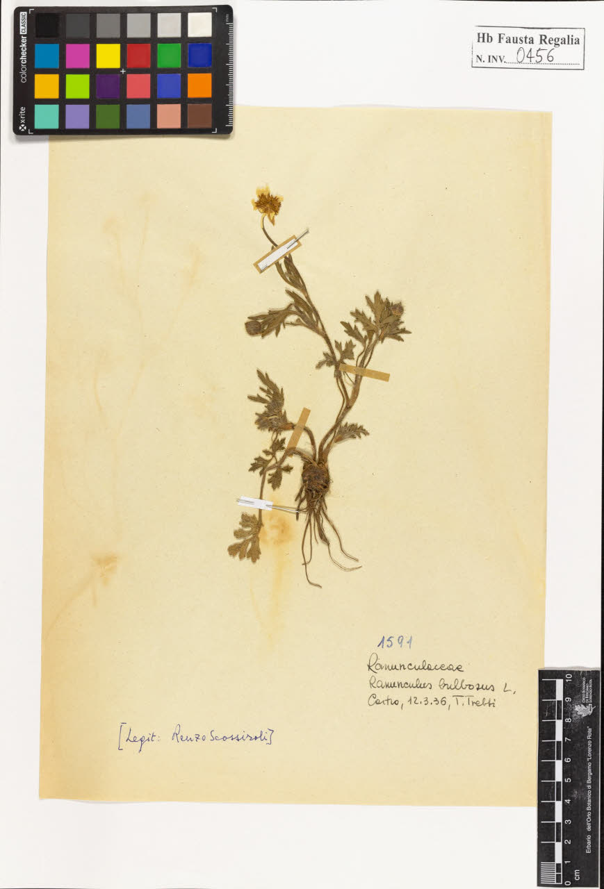 SW_BNB_s3020-00459_IMG-0000000001