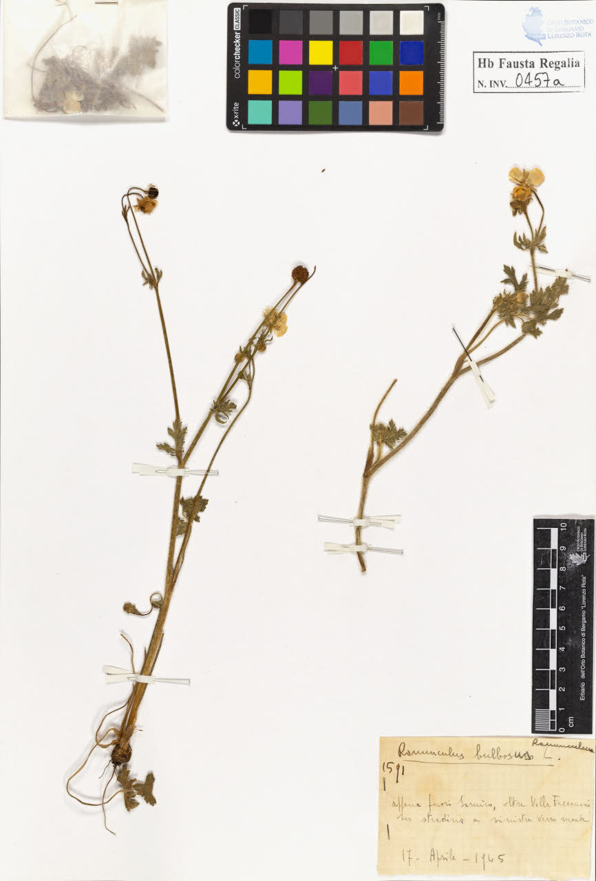 SW_BNB_s3020-00460_IMG-0000000001