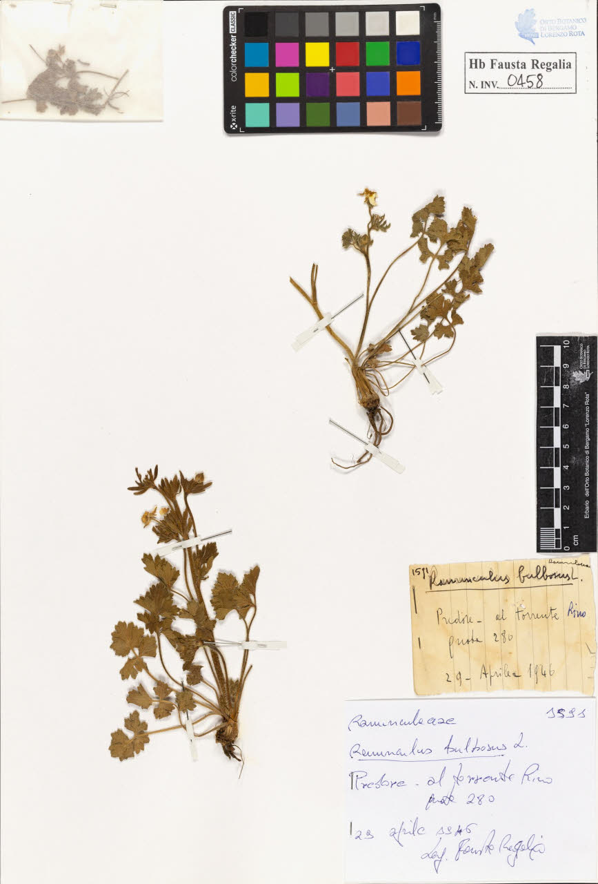 SW_BNB_s3020-00461_IMG-0000000001