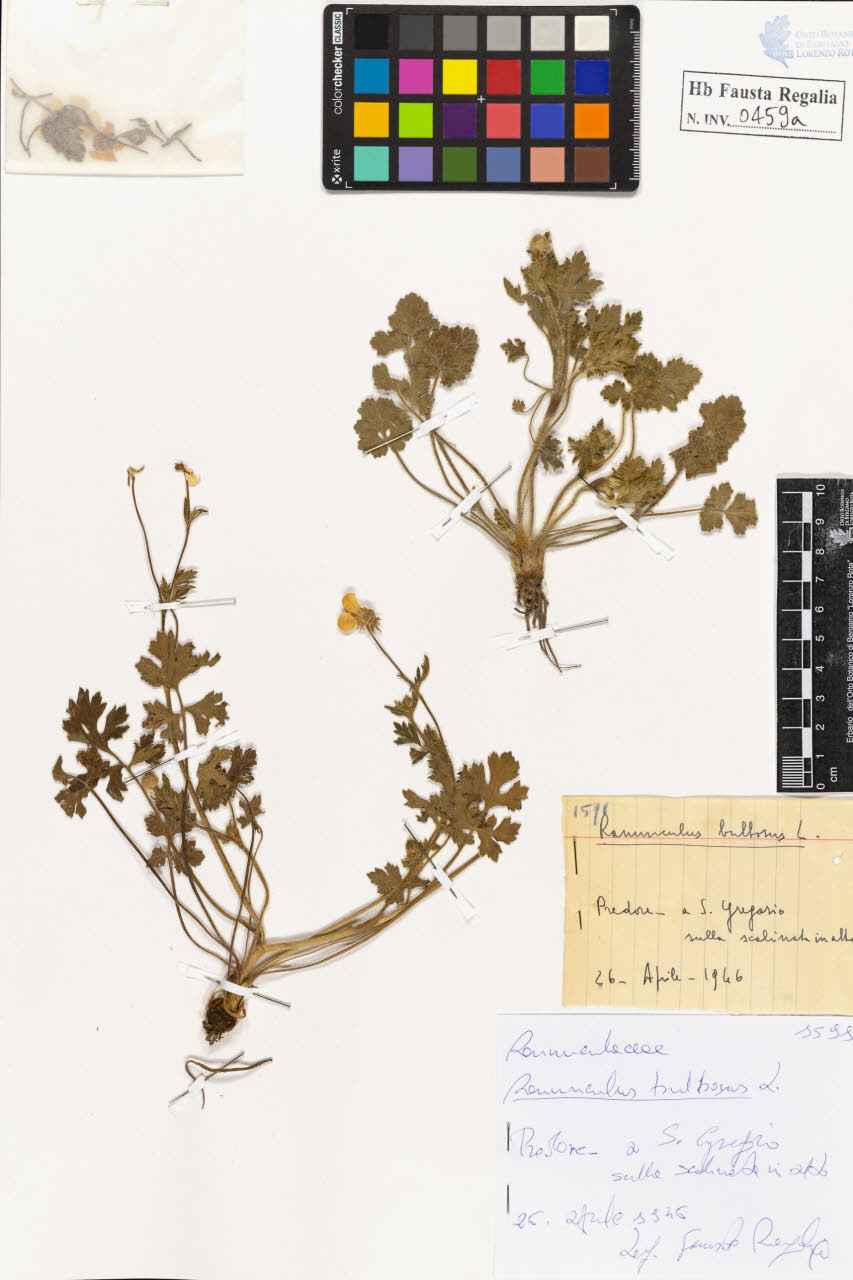 SW_BNB_s3020-00462_IMG-0000000001