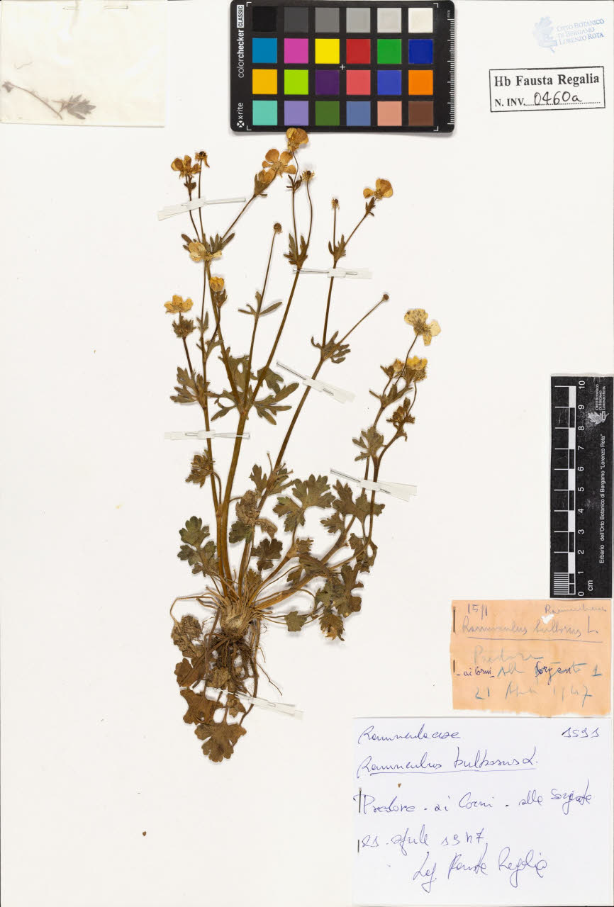 SW_BNB_s3020-00463_IMG-0000000001