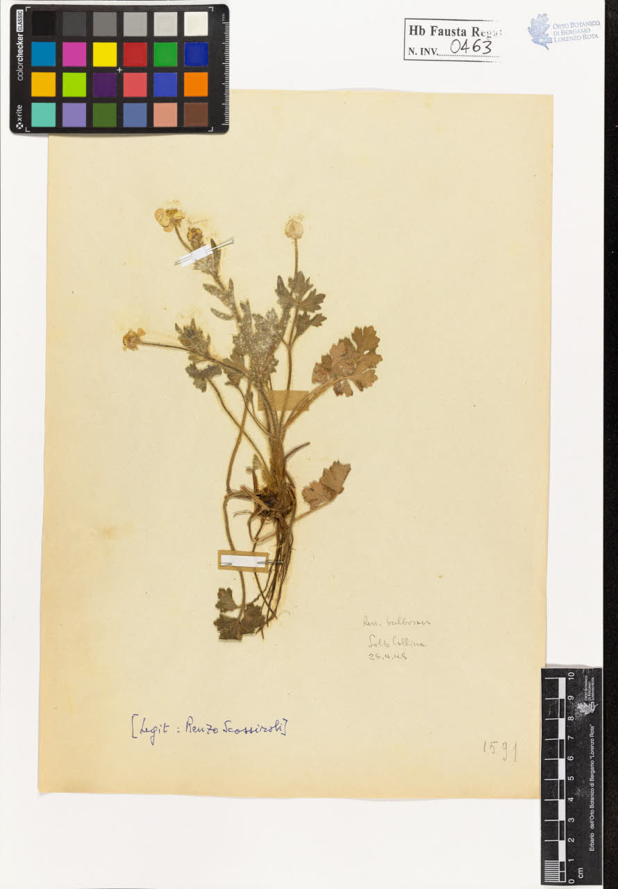 SW_BNB_s3020-00466_IMG-0000000001