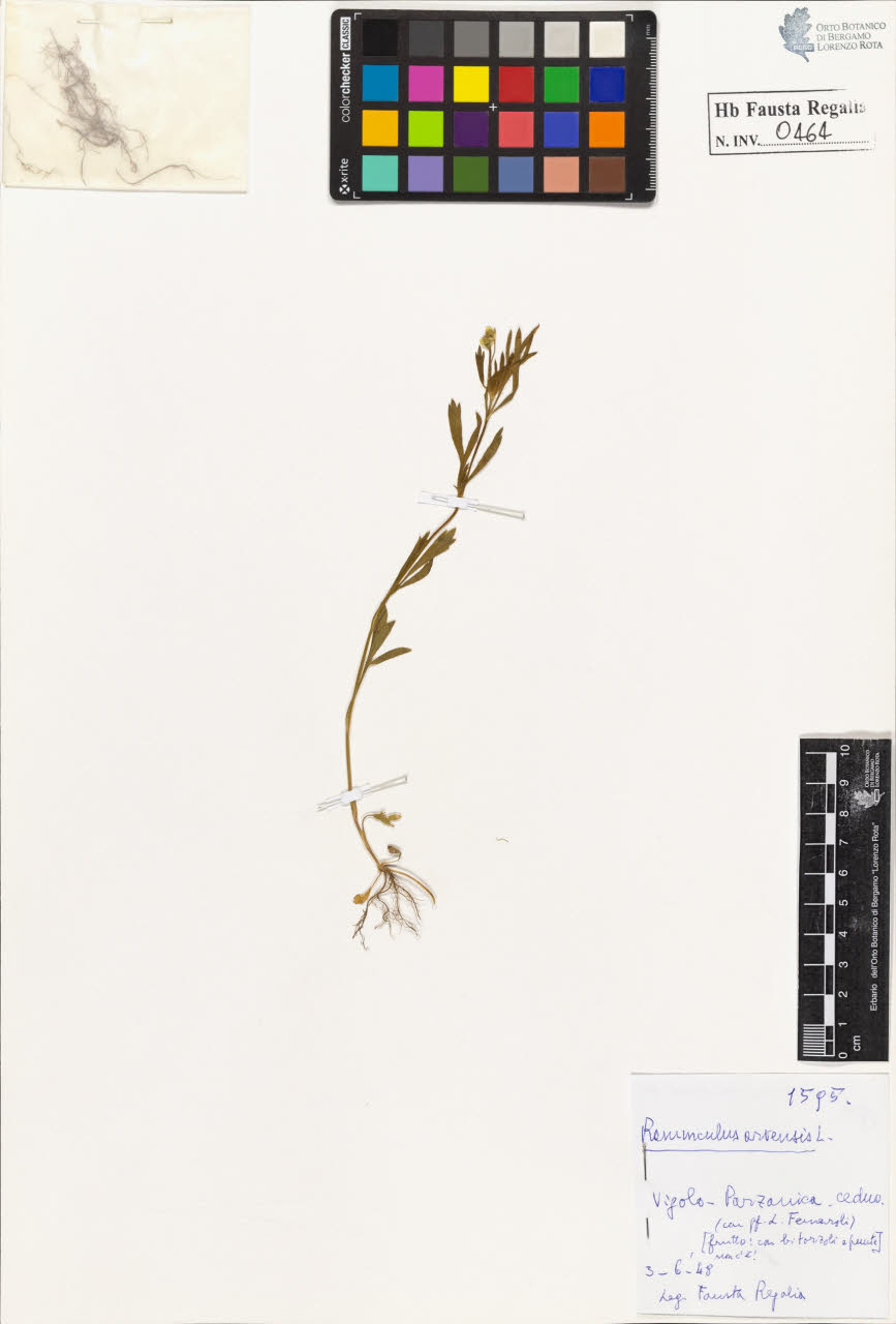 SW_BNB_s3020-00467_IMG-0000000001