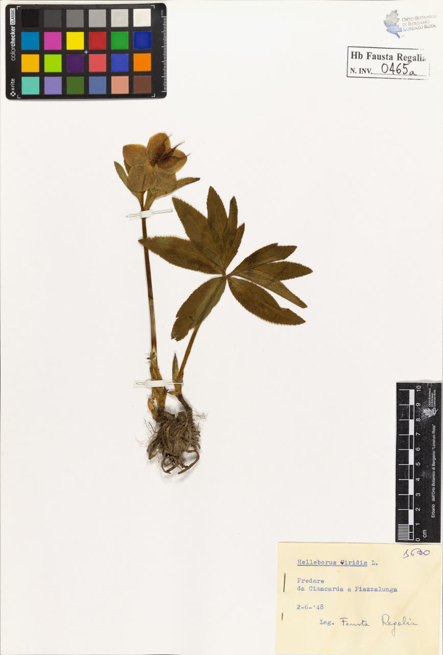 SW_BNB_s3020-00468_IMG-0000000001