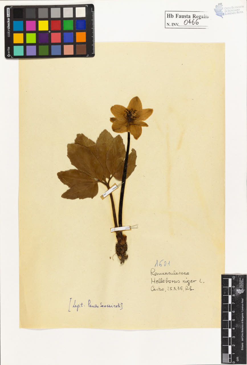 SW_BNB_s3020-00469_IMG-0000000001