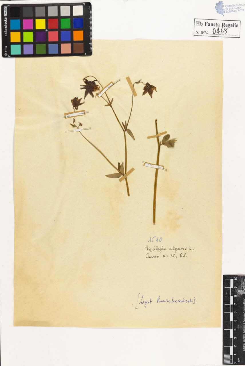 SW_BNB_s3020-00471_IMG-0000000001