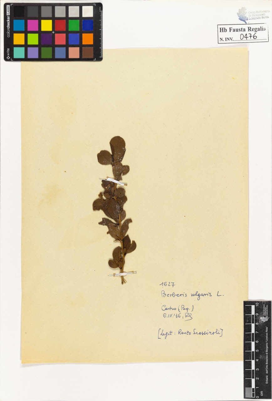 SW_BNB_s3020-00479_IMG-0000000001