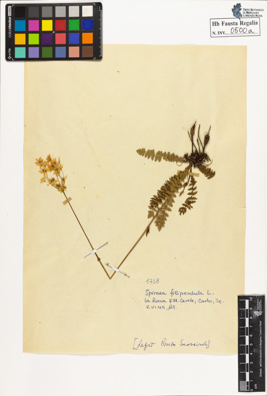 SW_BNB_s3020-00503_IMG-0000000001