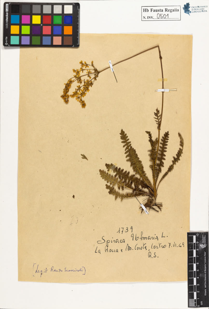 SW_BNB_s3020-00504_IMG-0000000001