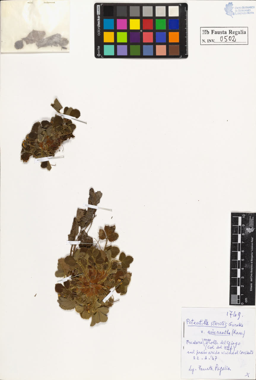 SW_BNB_s3020-00505_IMG-0000000001